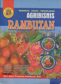 Agribisnis Rambutan