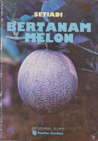 Bertanam Melon
