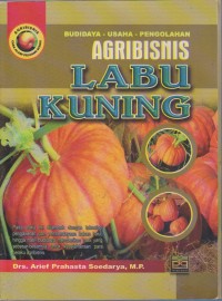 Image of Agribisnis Labu Kuning