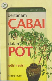Image of Bertanam Cabai Di Dalam Pot