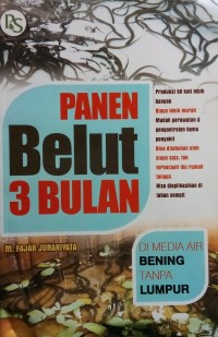 Panen Belut 3 Bulan