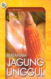 Bertanam Jagung Unggul