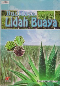Budidaya Lidah Buaya