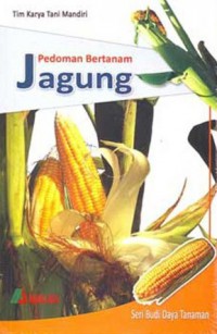 Pedoman Bertanam Jagung