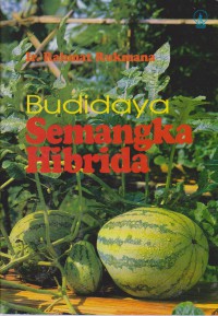 Budidaya Semangka Hibrida