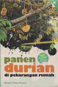 Panen Durian Di Pekarangan Rumah