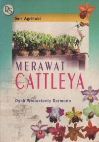 Image of Merawat Cattleya