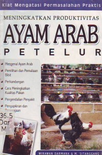 Image of Meningkatkan Produktivitas Ayam Arab Petelur