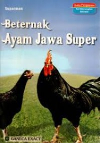 Image of Beternak Ayam Jawa Super