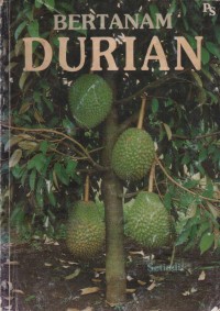 Image of Bertanam Durian