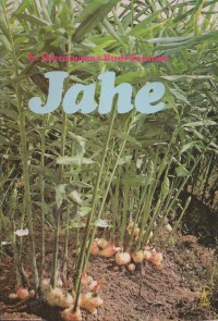 Image of Jahe