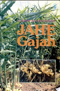 Image of Jahe Gajah