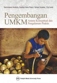 Image of Pengembangan UMKM : Antara Konseptual Dan Pengalaman Kerja