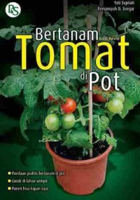 Image of Bertanam Tomat Di Pot