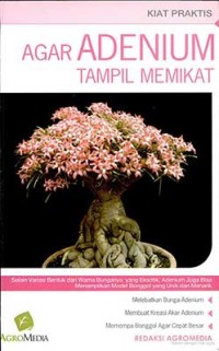 Image of Agar Adenium Tampil Memikat