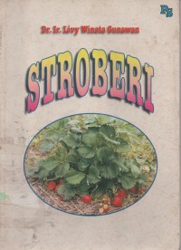 Image of Stroberi