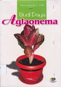 Image of Budi Daya Aglaonema