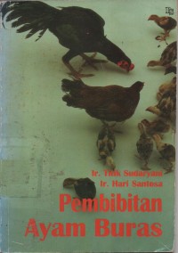 Image of Pembibitan Ayam Buras