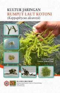 Image of Kultur Jaringan Rumput laut Kotoni (Kappaphycus Alvarezii)