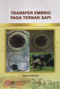 Image of Transfer Embrio Pada Ternak Sapi