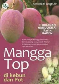 Image of Mangga Top Di Kebun Dan Pot