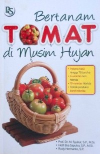 Image of Bertanam Tomat Di Musim Hujan