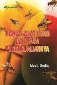 Image of Hama Lalat Buah Dan Cara Pengendaliannya