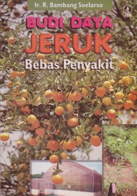 Image of Budi Daya Jeruk Bebas Penyakit