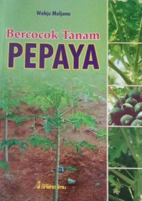 Image of Bercocok Tanam Pepaya